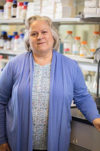 Jennifer K. Morrow, PhD
